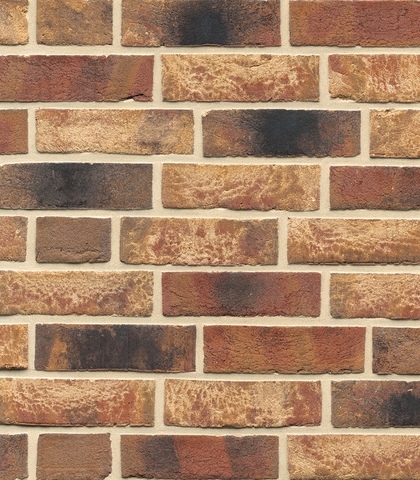 Muhr NF 35 Holstein-Barock